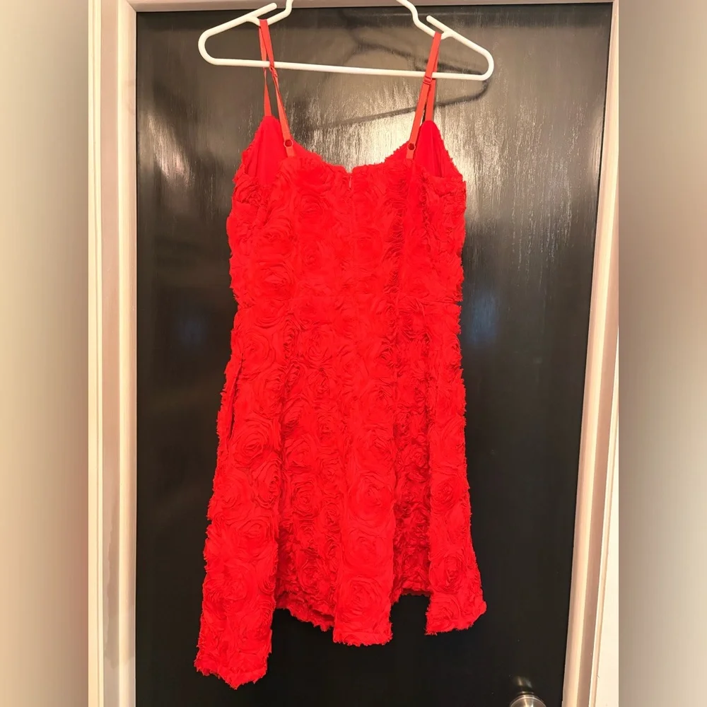 Express Red Rose Dress NWT - Picture 3 of 4